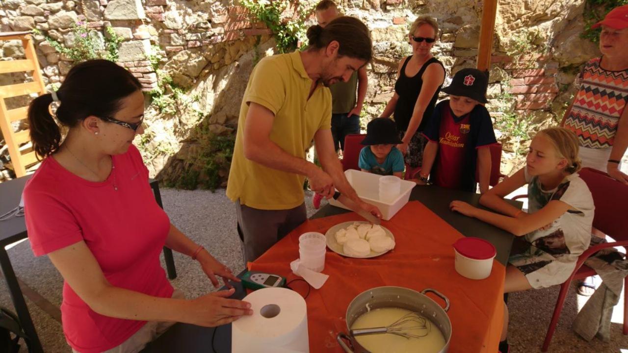 Camping Barco Reale 람포레키오 외부 사진